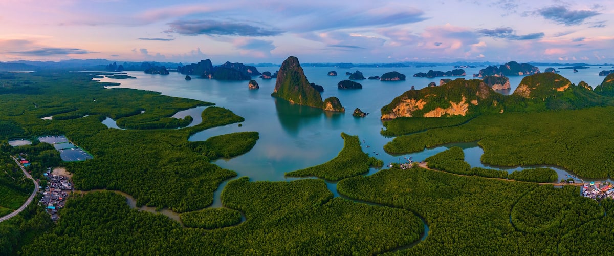 A coastal landscape with dense green vegetation, numerous small islands, and a network of waterways.