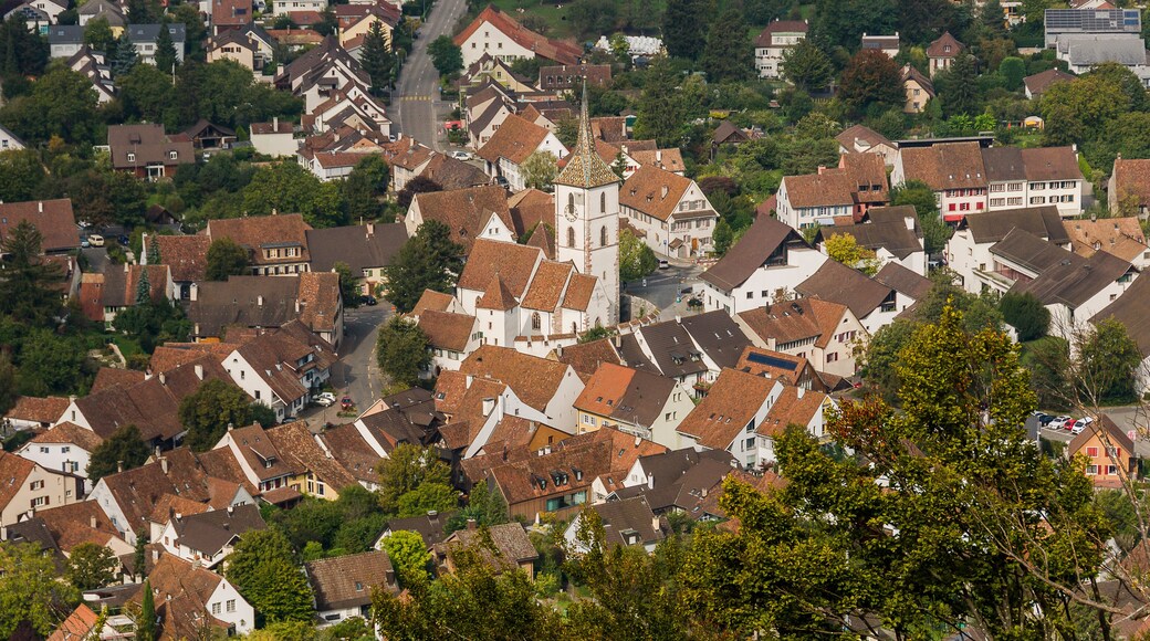 Muttenz, Kirche, Sankt Arbogastkirche, Sankt Arbogast, Reformierte Kirche, Ringmauern, Kirchhof, Dorf, Dorfkern, Kirchplatz, Kirchturm, Wartenberg, Baselland, Schweiz, Herbst, Sommer