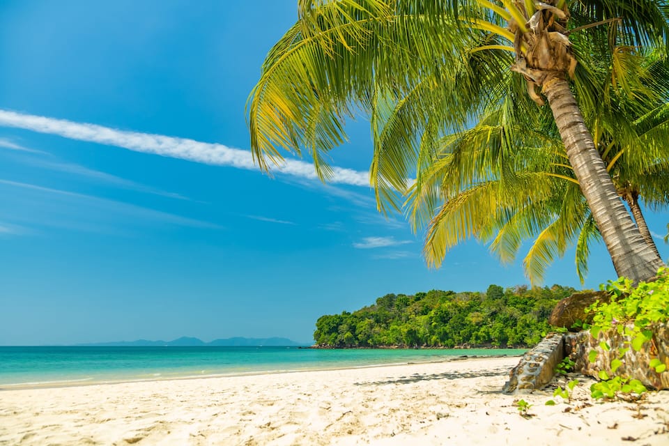 Ein Strand mit einer Palme, blauem Himmel und türkisblauem Meer.
