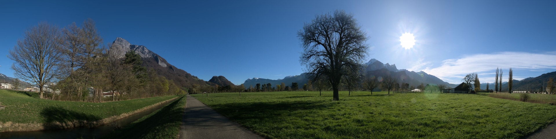 Floor of the Swiss Rhine valley near Sargans, showing Gonten, Falknis and backlit pear tree