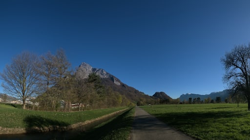 Floor of the Swiss Rhine valley near Sargans, showing Gonten, Falknis and backlit pear tree
