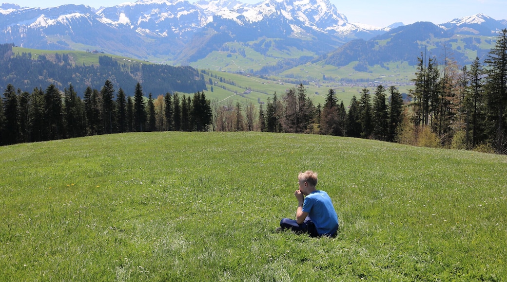 NO EDITING: while a hike of 20 KM.....great view at a great day. At the restaurant Hoher Hirschberg in the beautiful District Appenzell