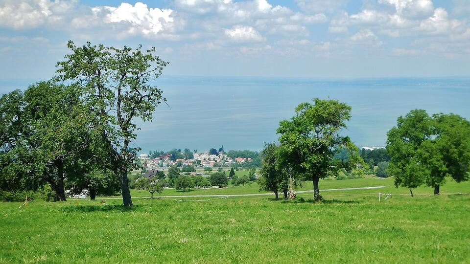 A grassy field with trees and a distant view of a town by the water.
