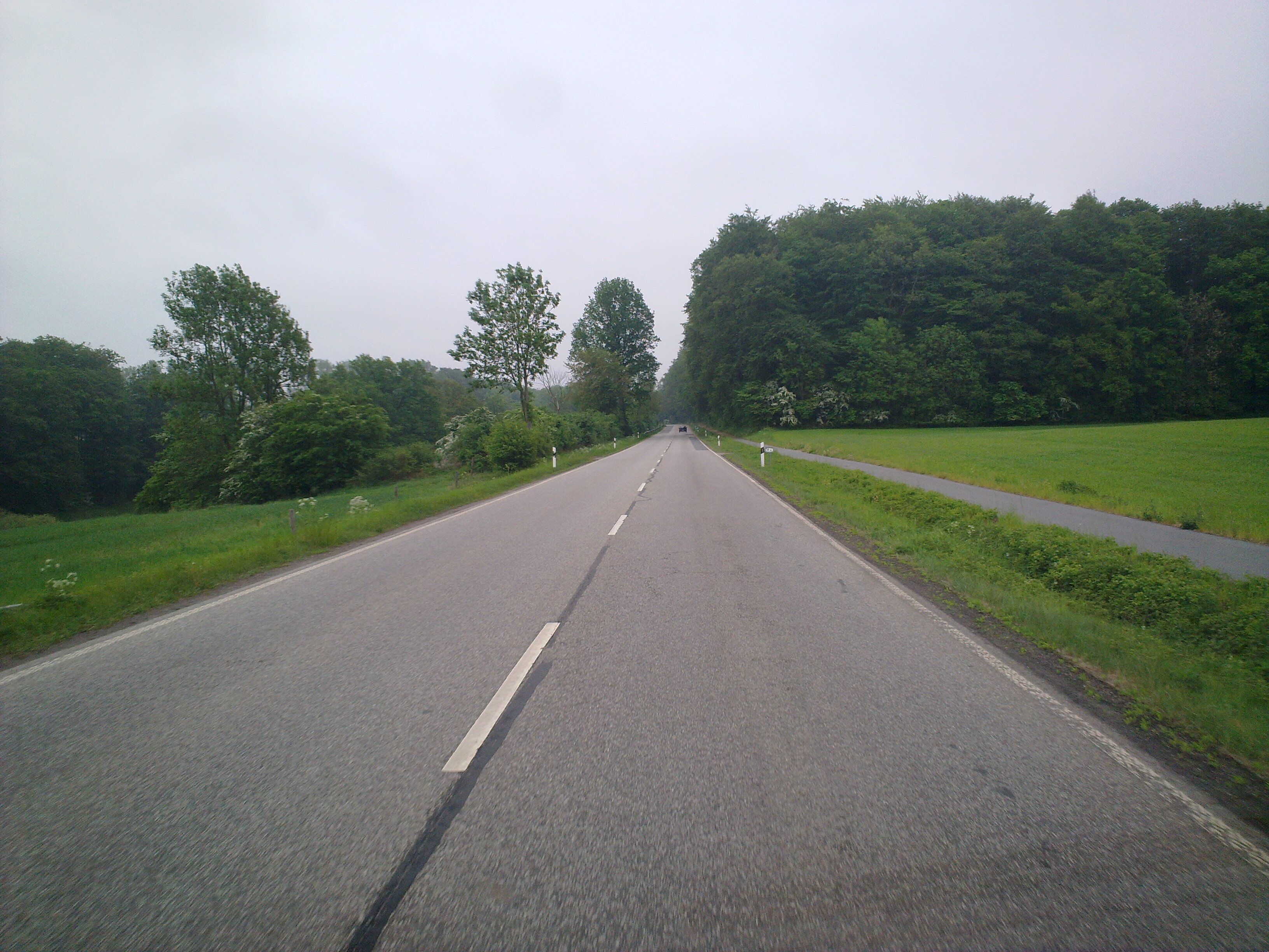 A rural road flanked by lush greenery and trees.