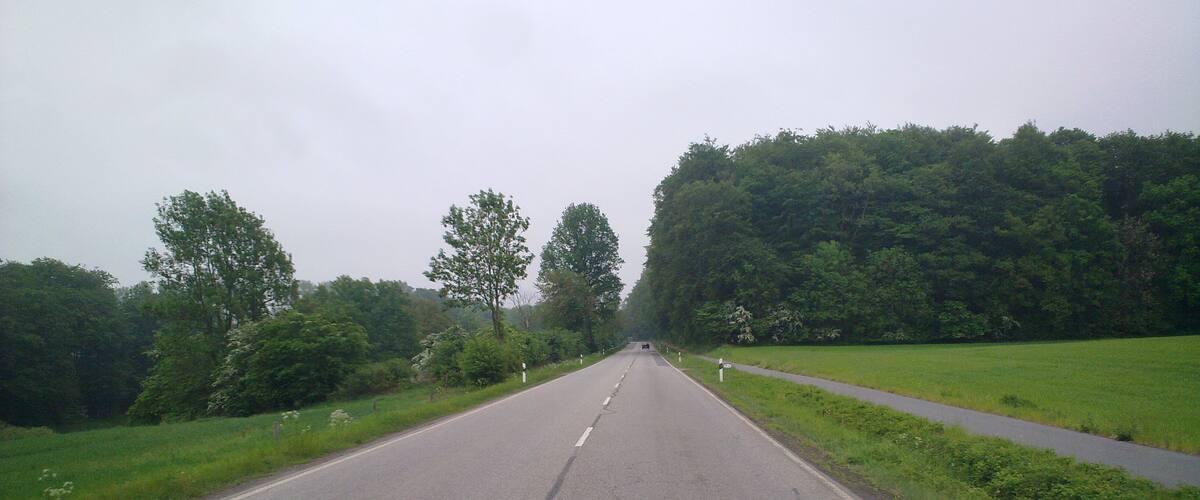 A rural road flanked by lush greenery and trees.