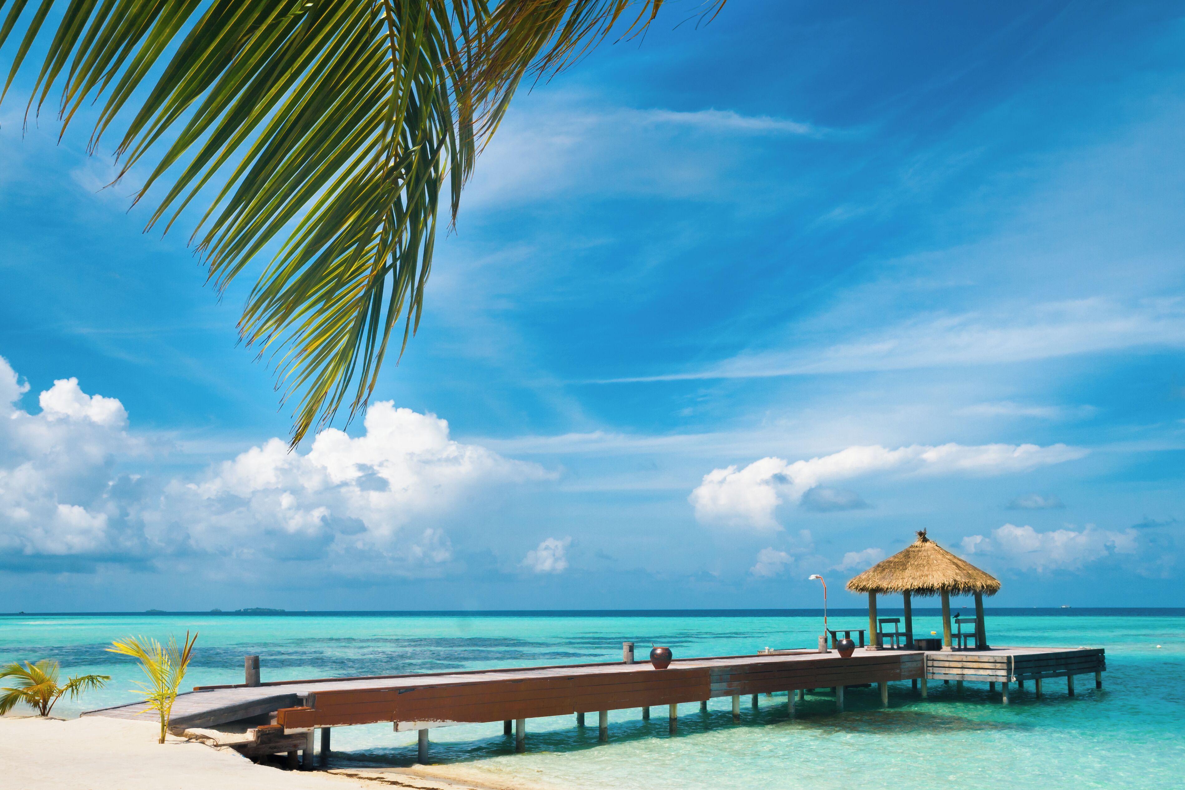A wooden pier extending into turquoise waters, a thatched-roof hut, and a palm tree.