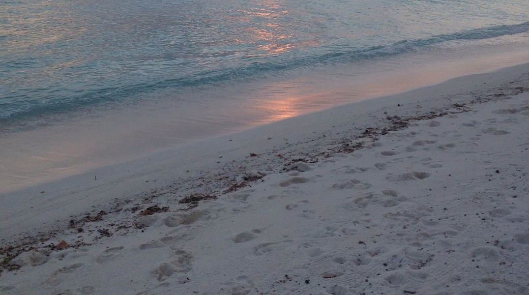 Beautiful sunset at the sandbank on #kuramathi #maldives