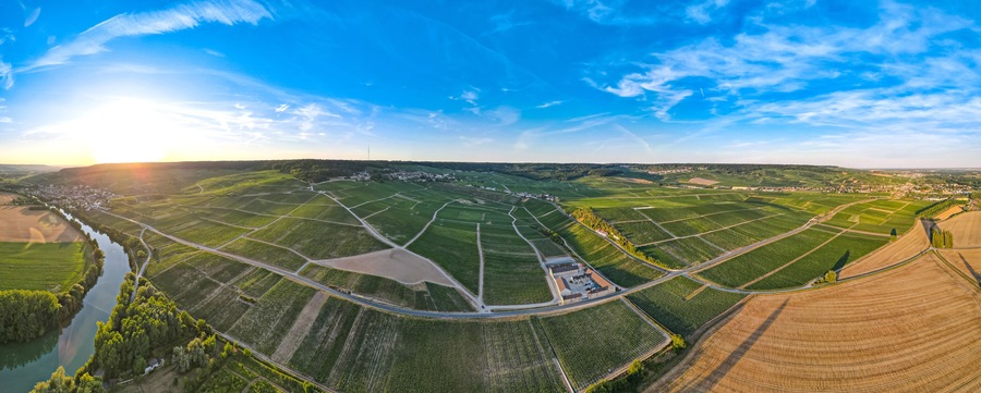 Aerial sunset view of Vineyards in the Champagne wine making region of France during the summer