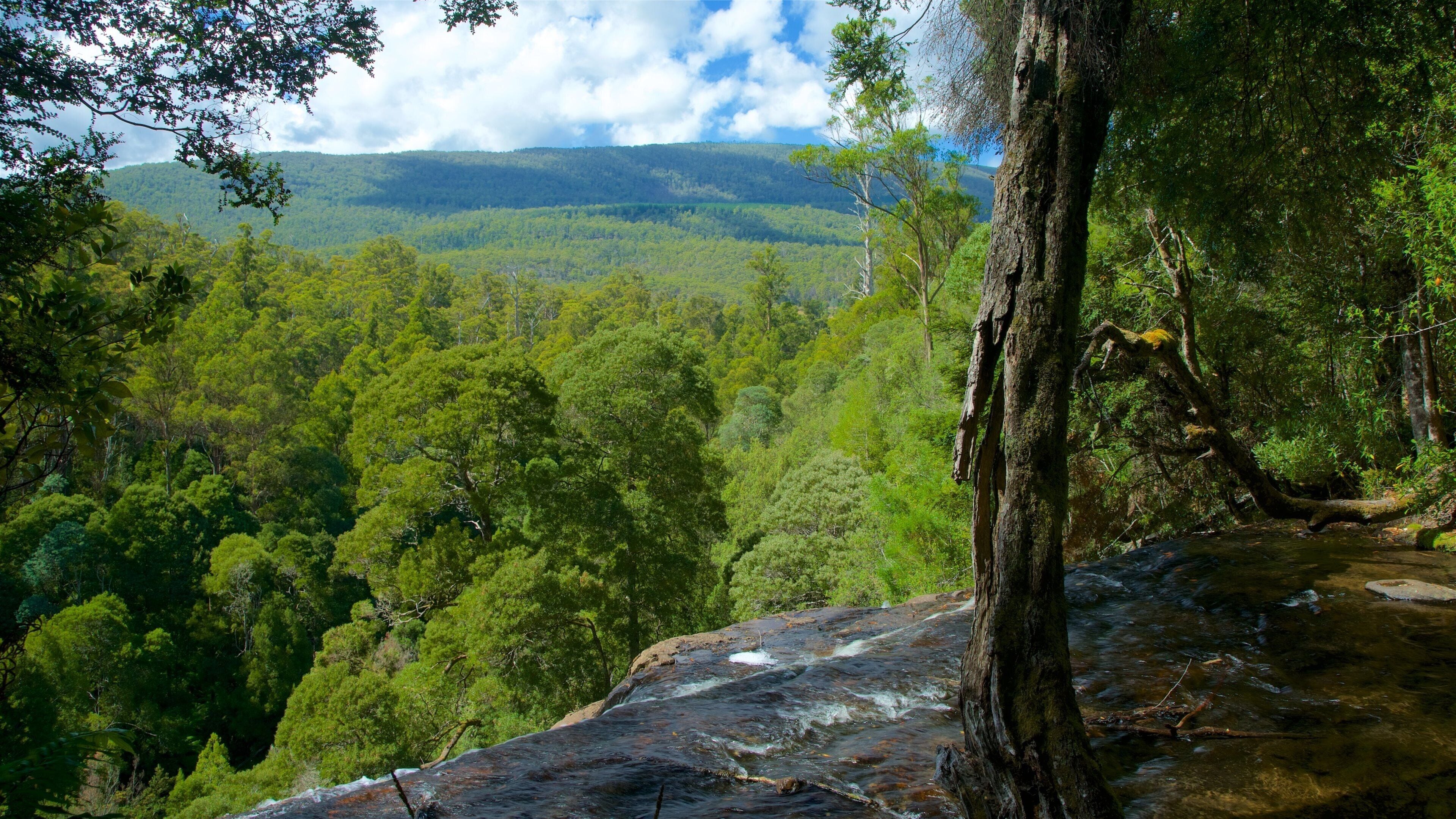 Mount Field National Park which includes tranquil scenes and landscape views
