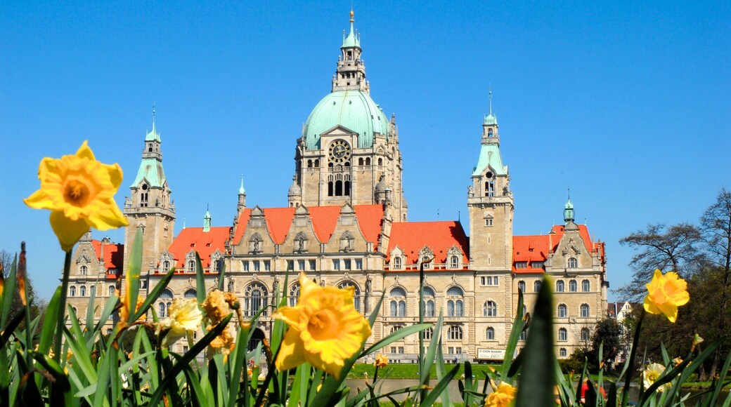 Hannover mostrando un jardín, flores y patrimonio de arquitectura