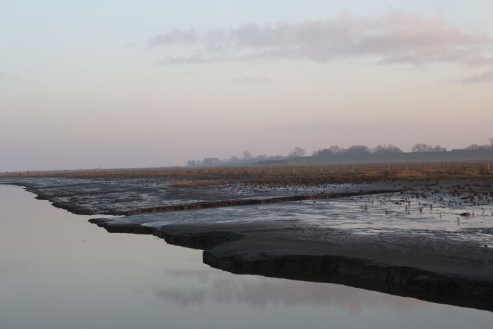 Renaturation of salt marsh. A summer-dike was opened and seawater can reach the former meadows. Visitors can explore the area on a log paved path.
