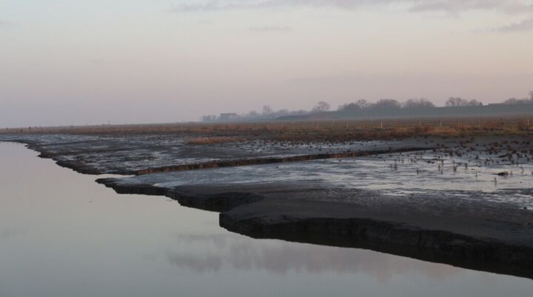 Renaturation of salt marsh. A summer-dike was opened and seawater can reach the former meadows. Visitors can explore the area on a log paved path.