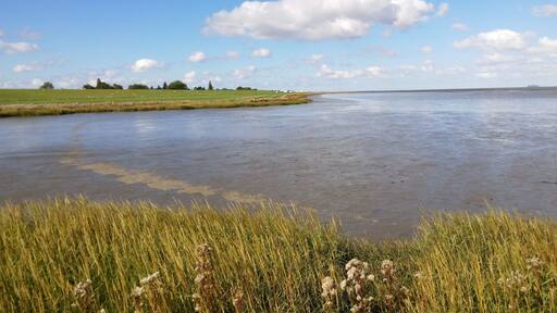 Coastline near Butjadingen