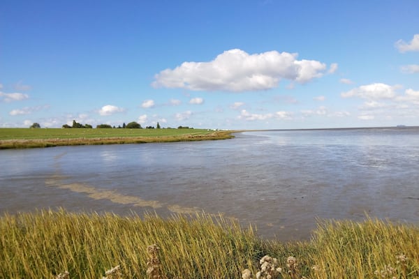 Coastline near Butjadingen