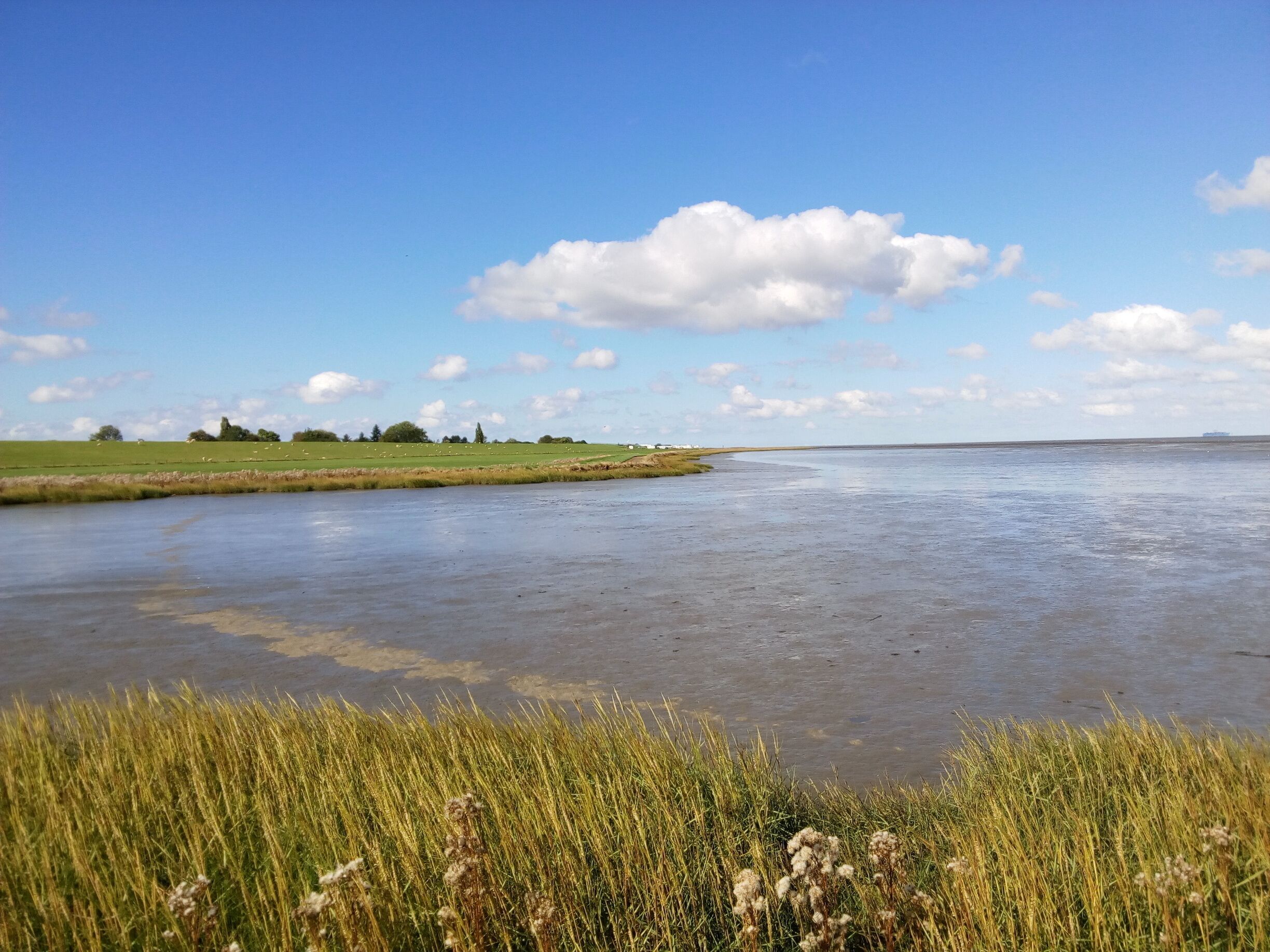 A river with grassy banks and a clear sky.