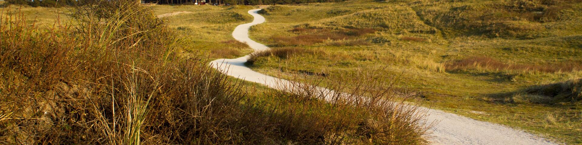 Path leading through the dunes towards vuurtoren, lighthouse of Ameland
