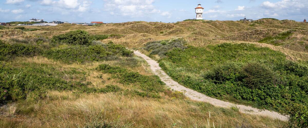 A coastal landscape with a lighthouse on a grassy hill, a dirt path, and a clear blue sky with clouds.