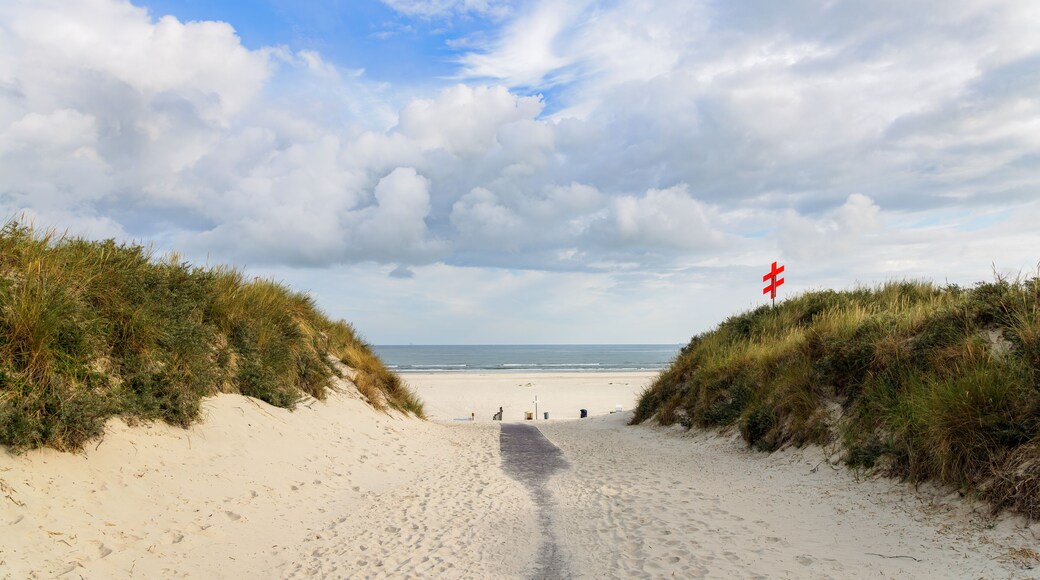 東弗里西亞群島