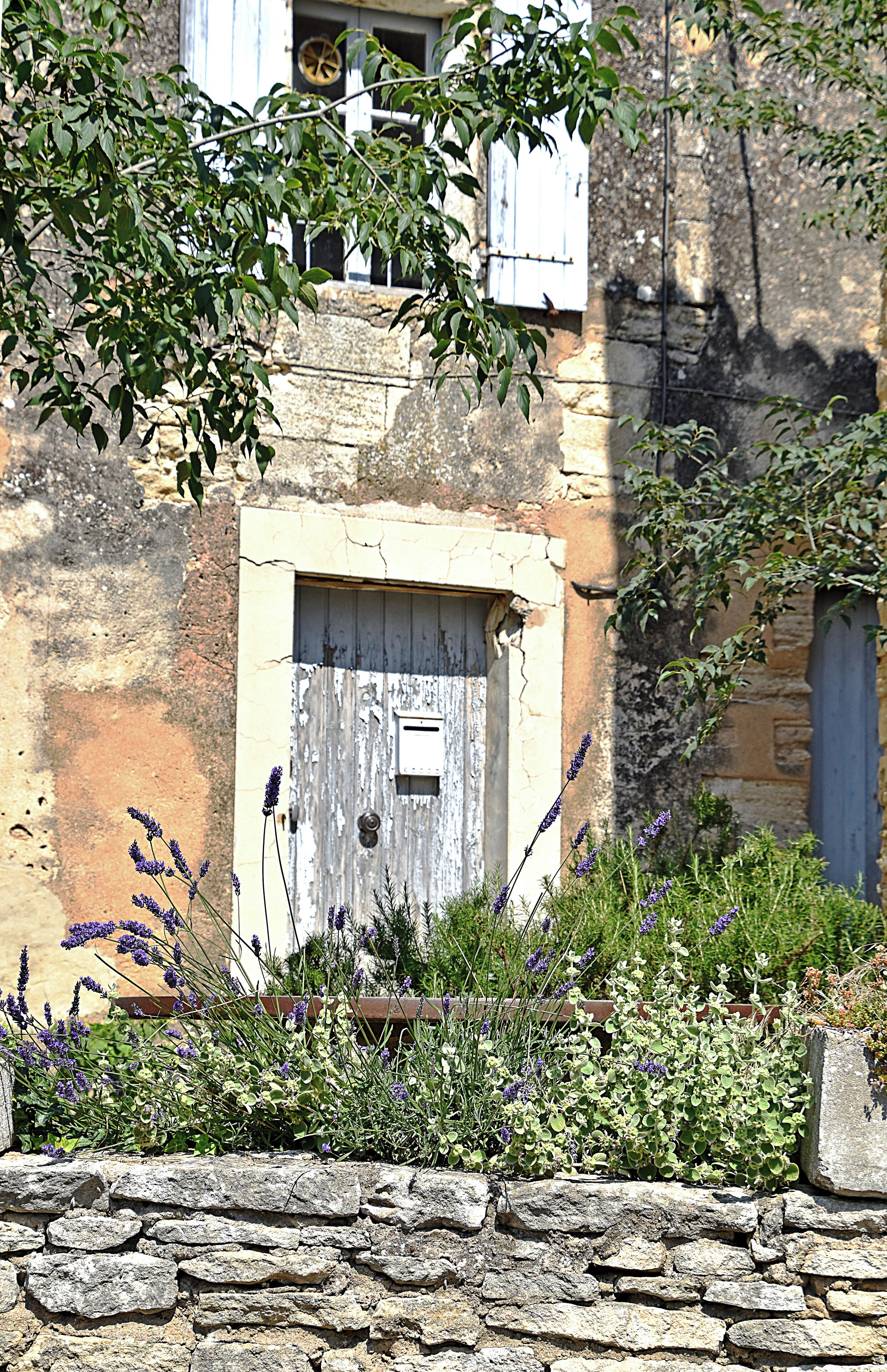 Un muro de piedra rústico, una puerta de madera desgastada y plantas de lavanda en un jardín.