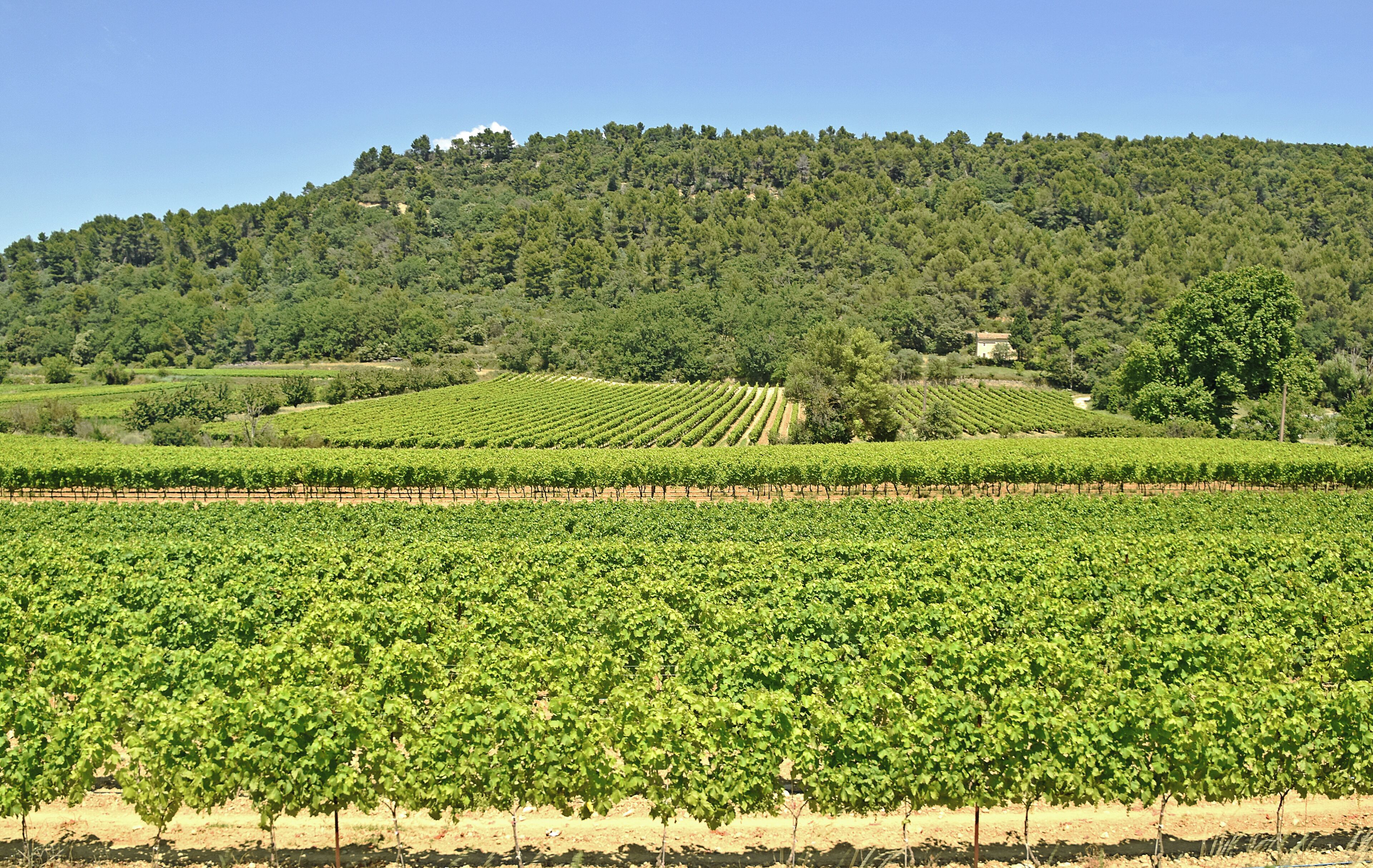 Ah, vino - enough said! #OnTheRoad