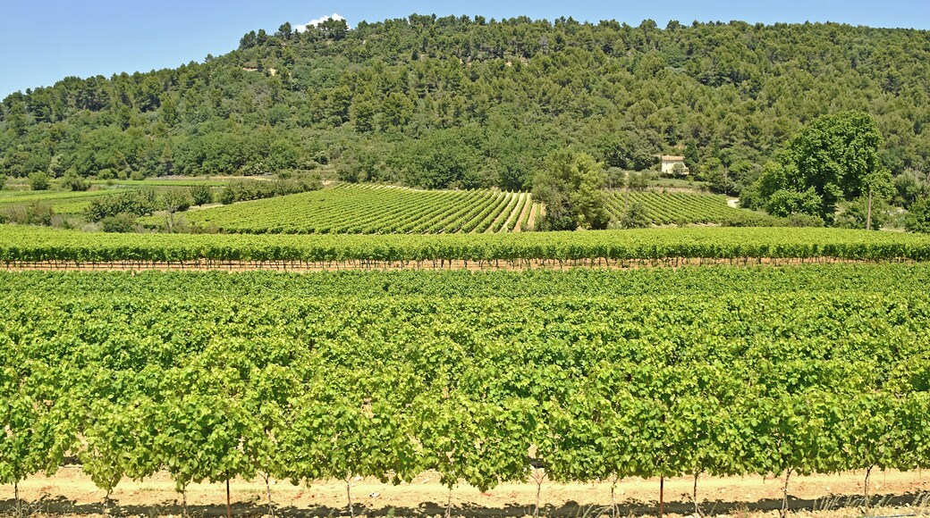 Ah, vino - enough said! #OnTheRoad