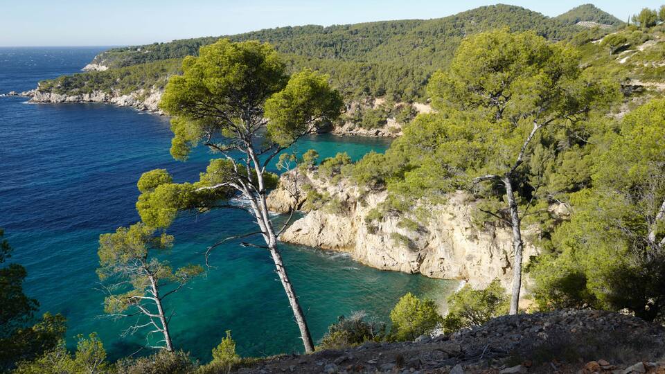 A coastal landscape with clear turquoise waters, rocky cliffs, and dense green pine trees.
