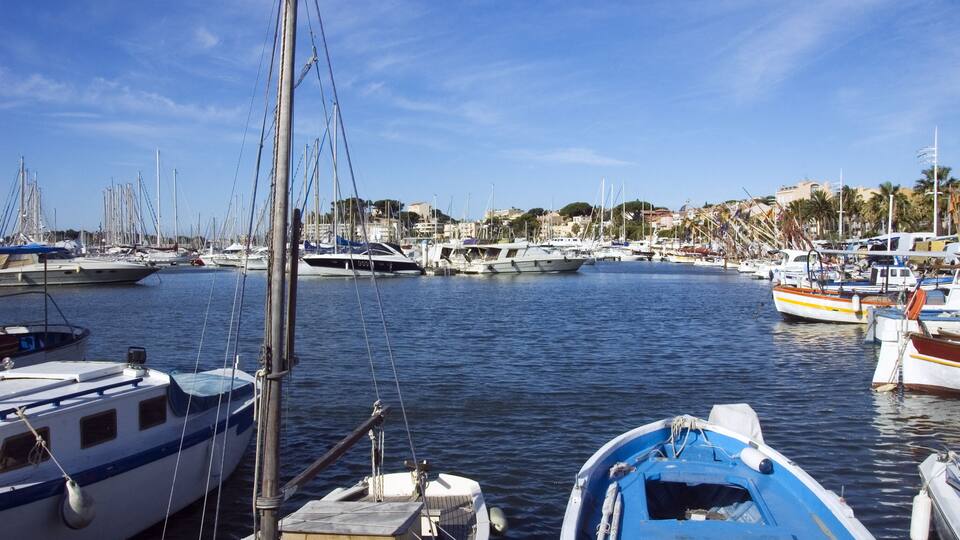 A marina with various boats docked, a clear blue sky, and buildings in the background.