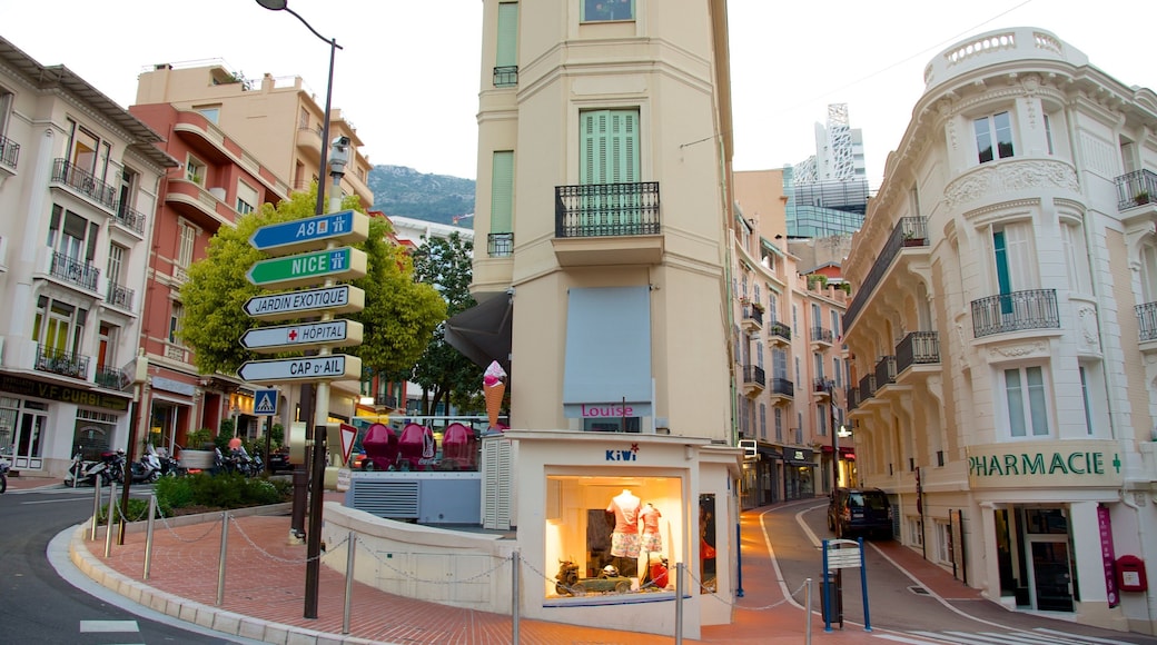 Monaco featuring heritage elements and a city
