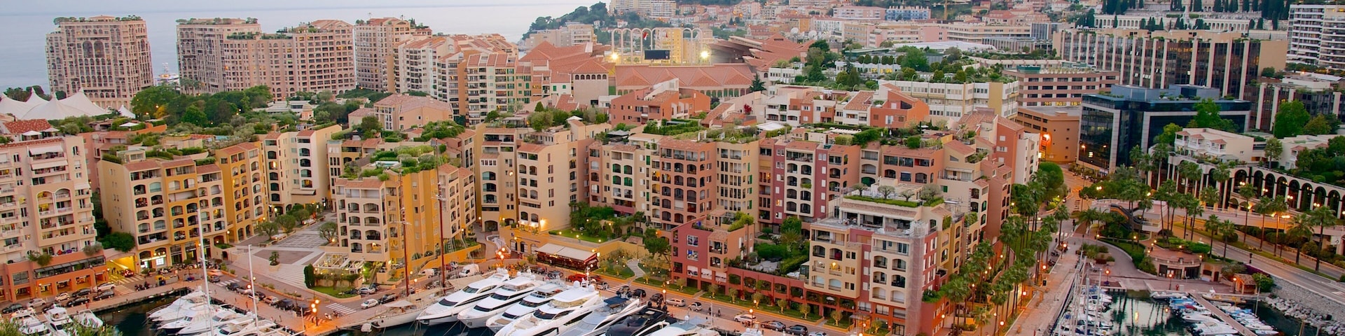 Monaco featuring a coastal town, a bay or harbour and a city