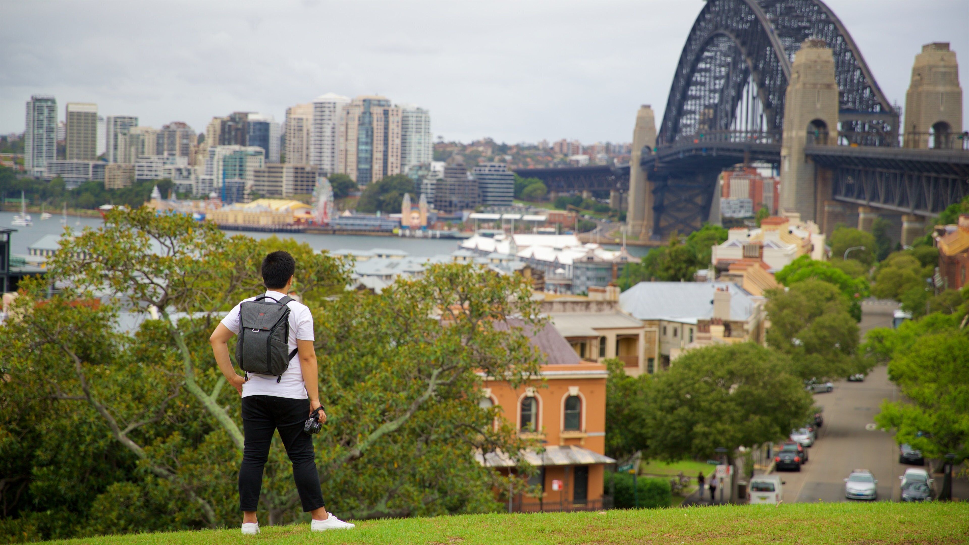 ミラーズ ポイント 表示 公園 及び 男性 (個人)
