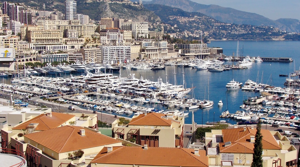 At Port Hercule, Monaco (Mar 2008).