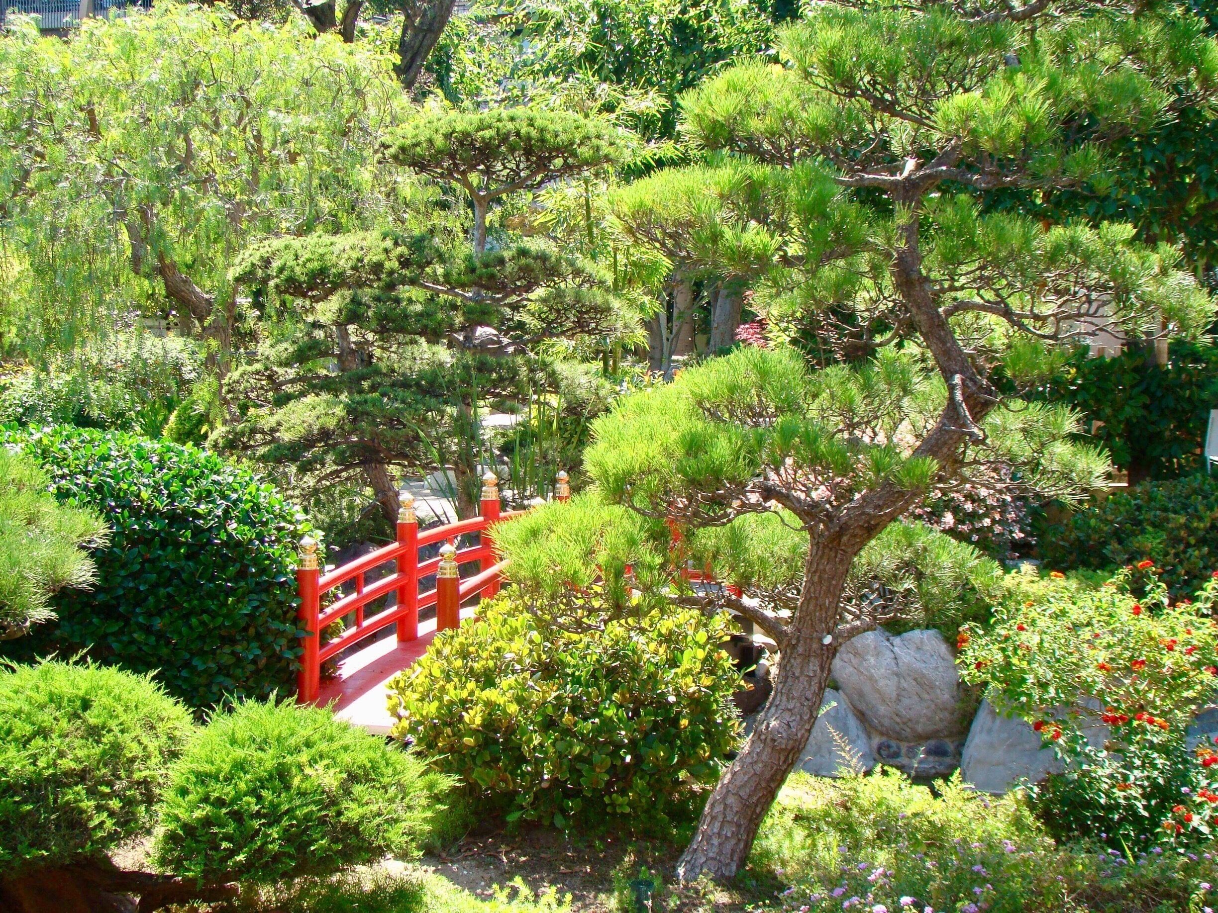 Japanese garden