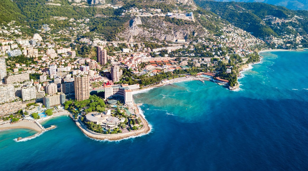 Monte Carlo