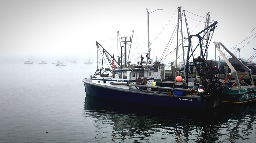 A photo before my morning run.