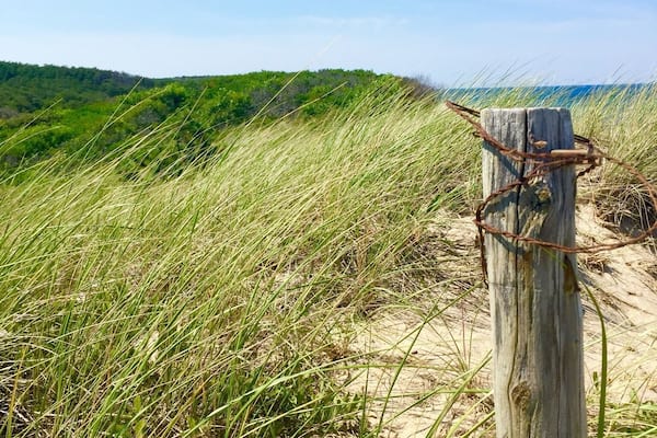 Newcomb Hollow Beach is on the east coast of Cape Cod just a Little north of Wellfleet, Massachusetts. There is a small parking lot that sometimes has a food truck selling goodies. The dunes separating the beach from the road prevent cell phone service but they are beautiful!
#BeachTips