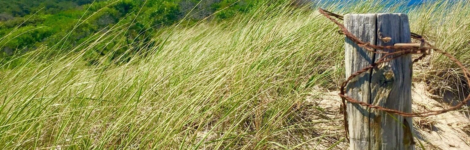 Newcomb Hollow Beach is on the east coast of Cape Cod just a Little north of Wellfleet, Massachusetts. There is a small parking lot that sometimes has a food truck selling goodies. The dunes separating the beach from the road prevent cell phone service but they are beautiful!
#BeachTips