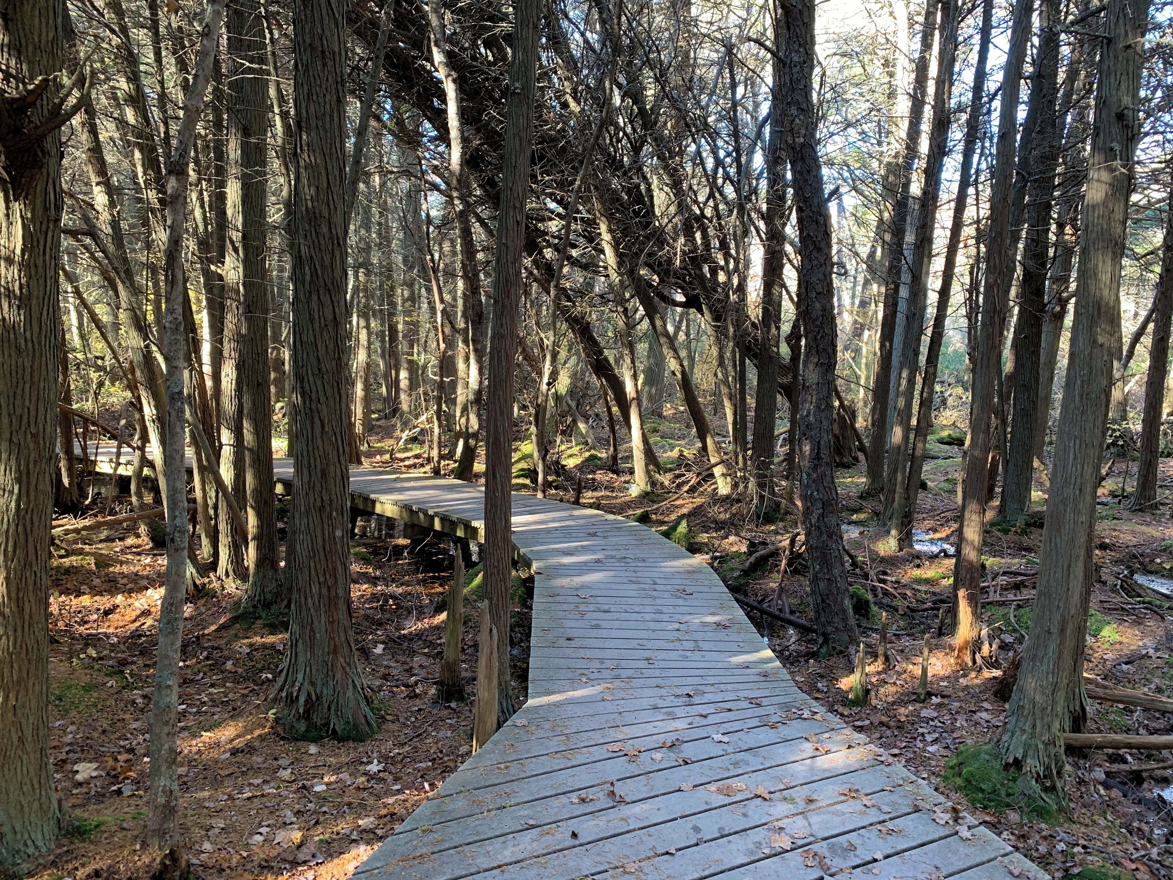 Beautiful seaside trail.