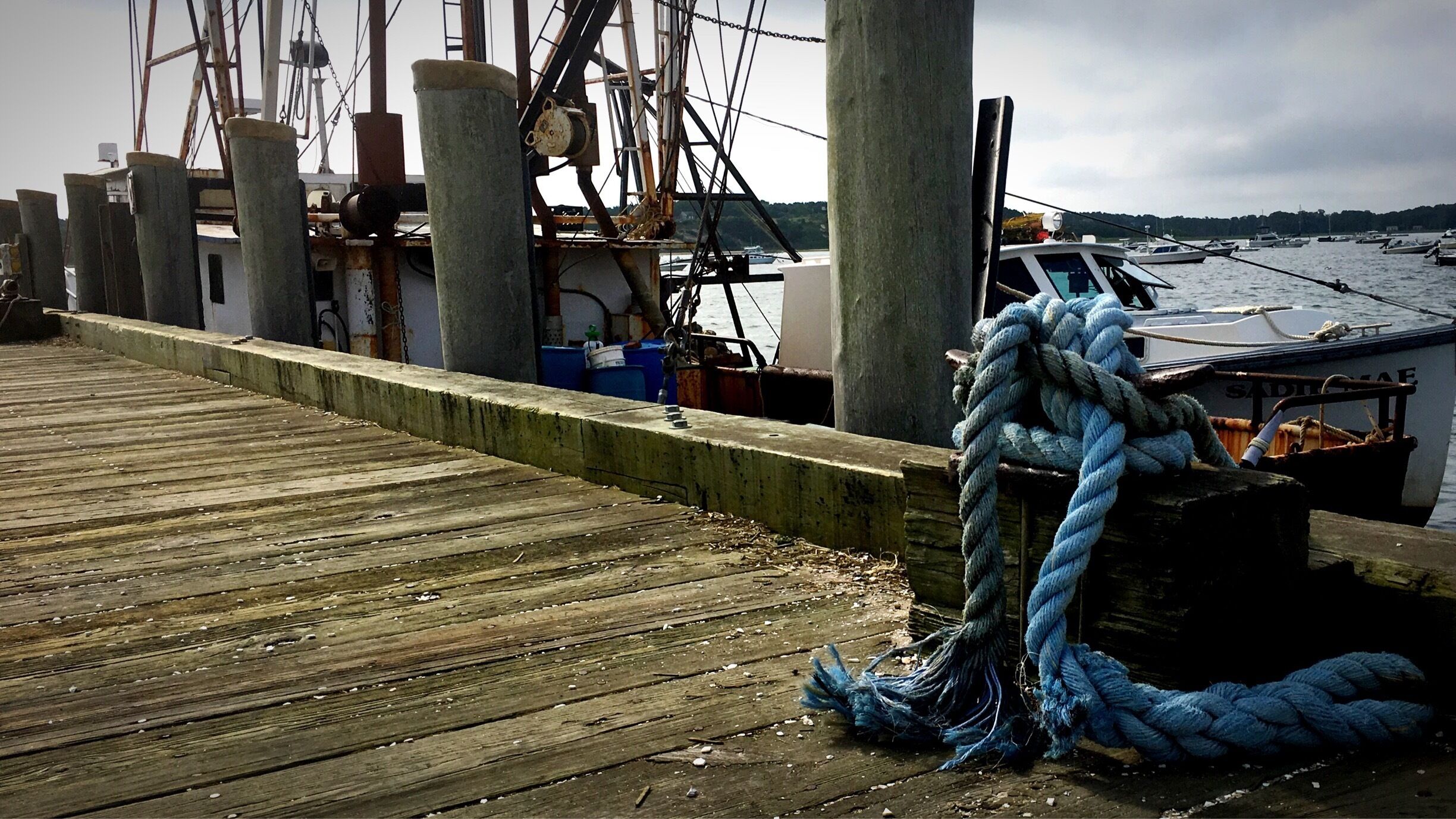 Picture of my favorite knot on the pier in Wellfleet. 