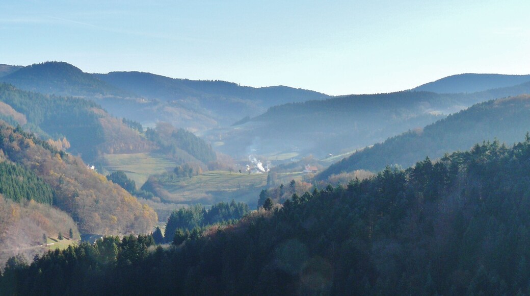 Blick Richtung Bad Peterstal