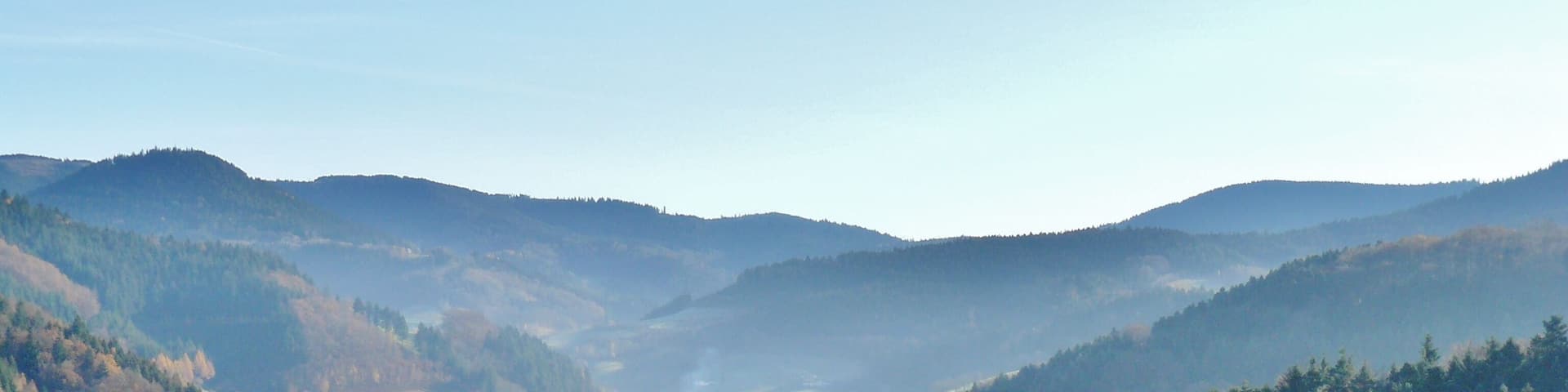 Blick Richtung Bad Peterstal