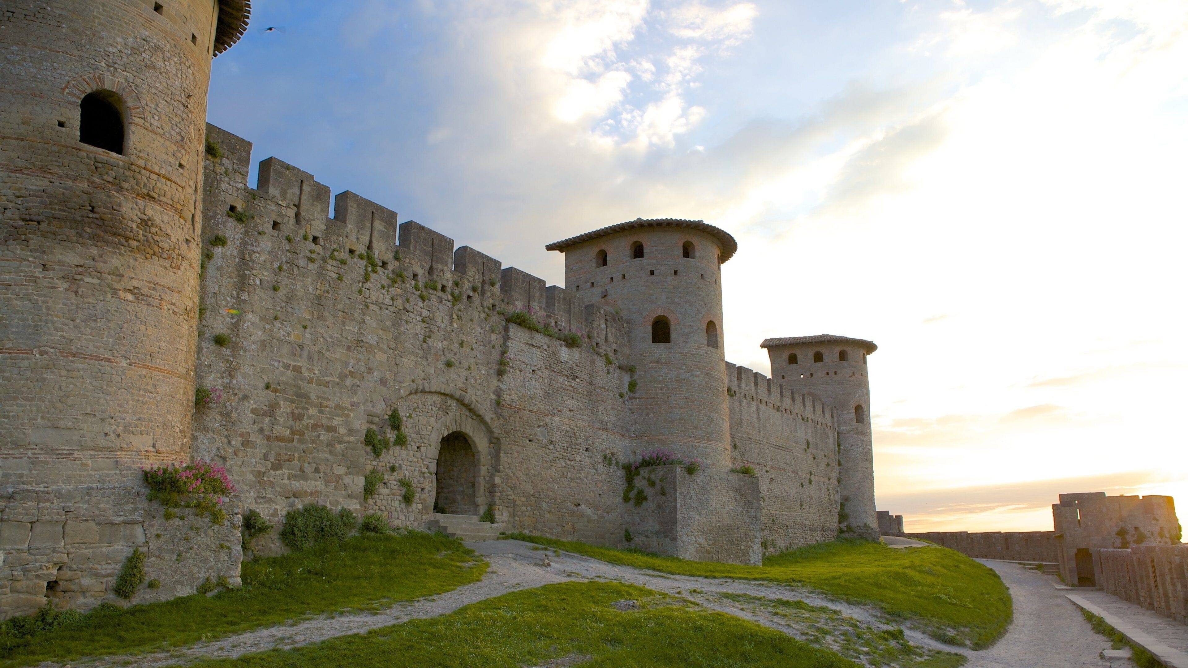 Carcassonne featuring heritage architecture and a castle