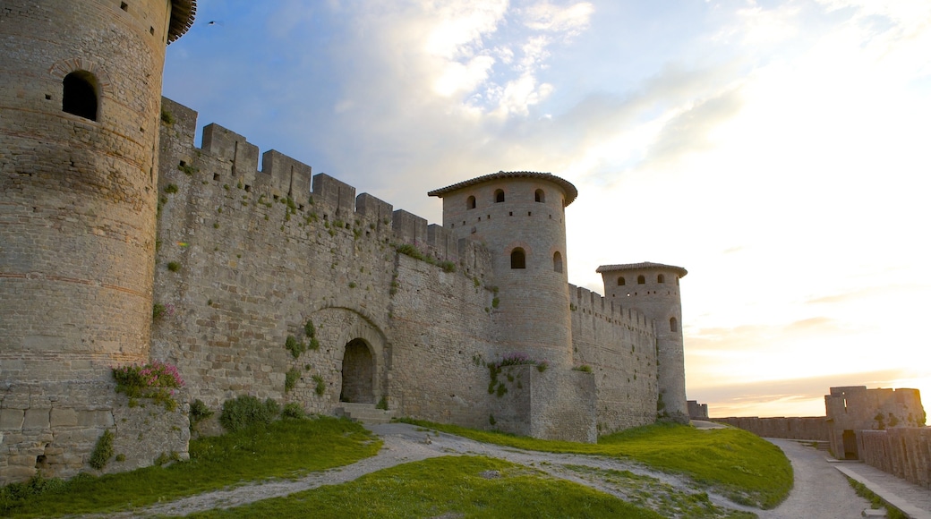 Carcassonne featuring heritage architecture and a castle