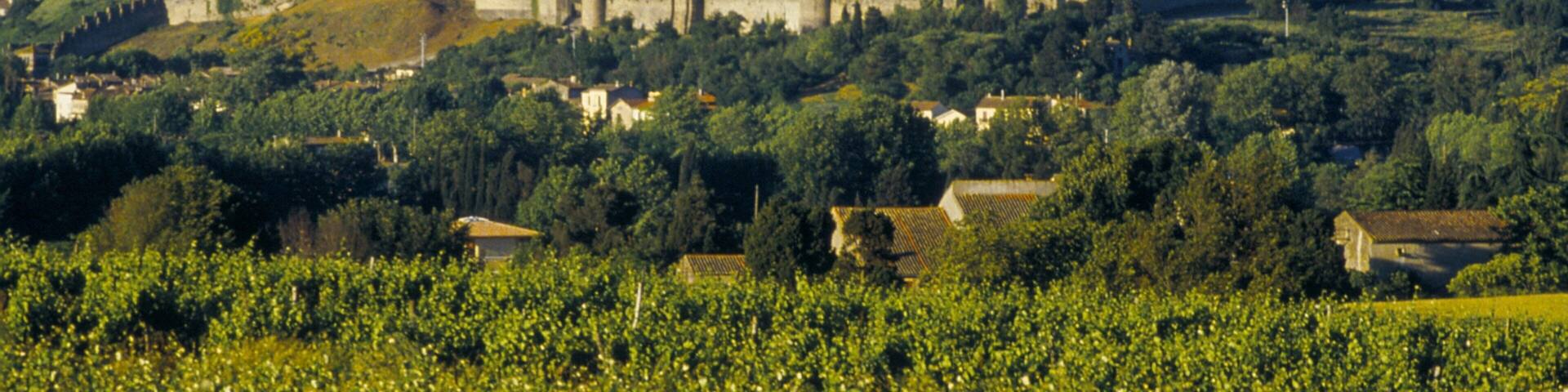 Carcasona mostrando patrimonio de arquitectura, castillo o palacio y vistas de paisajes