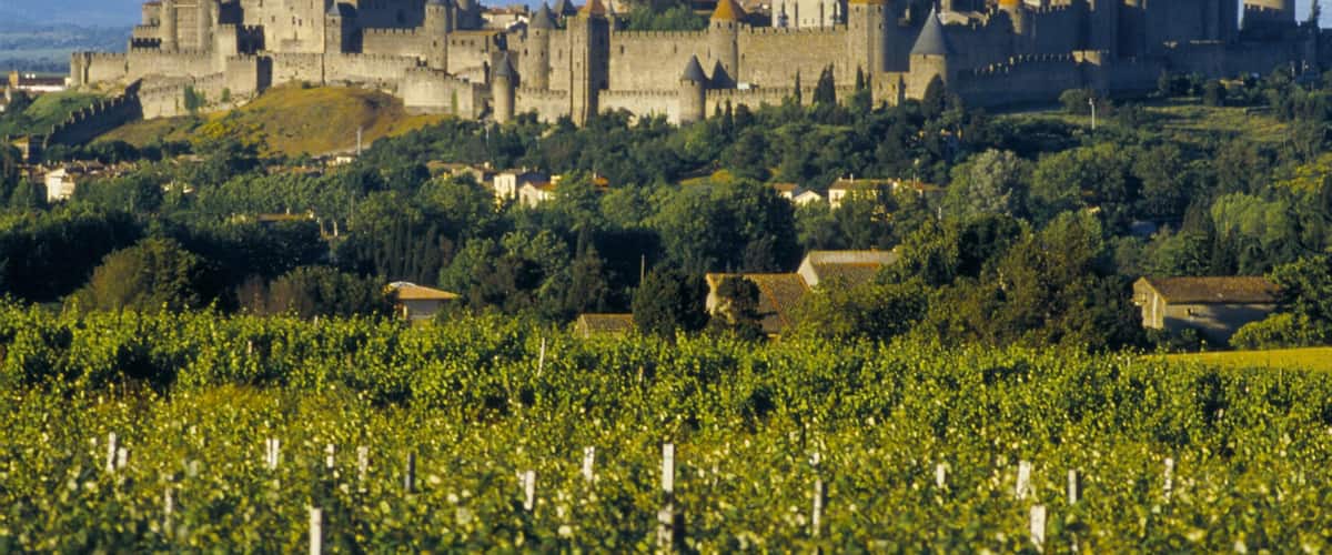 A medieval castle surrounded by vineyards.