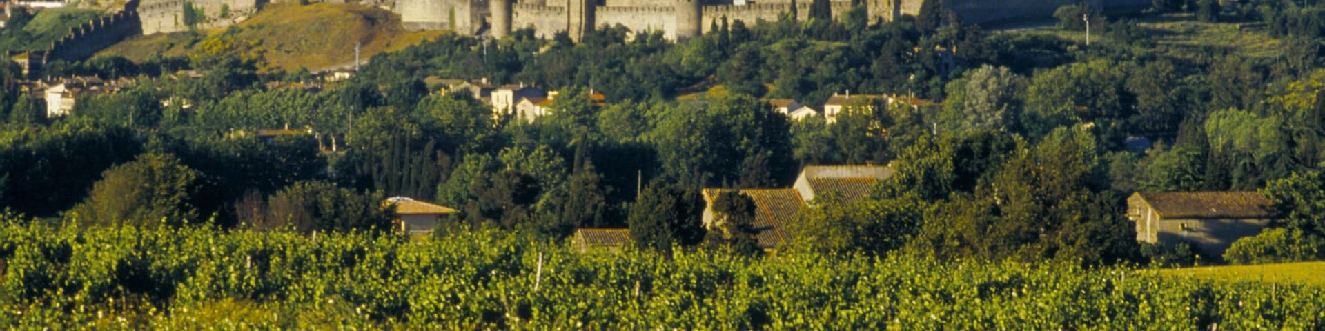 Carcassonne showing a castle, heritage architecture and landscape views