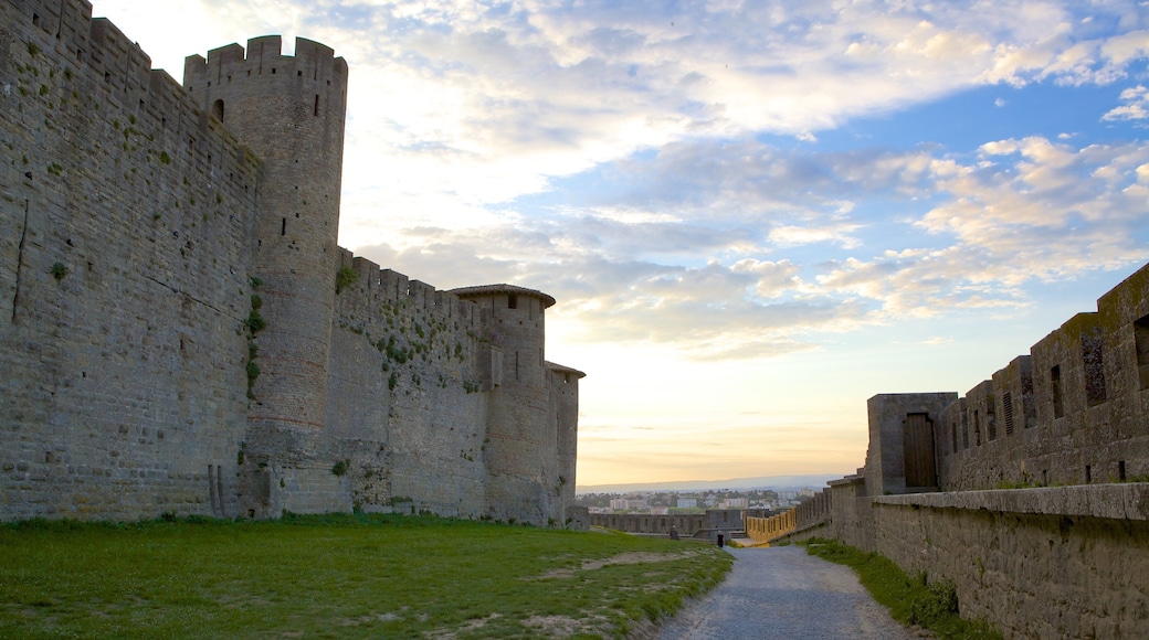 Carcassonne showing heritage architecture and château or palace
