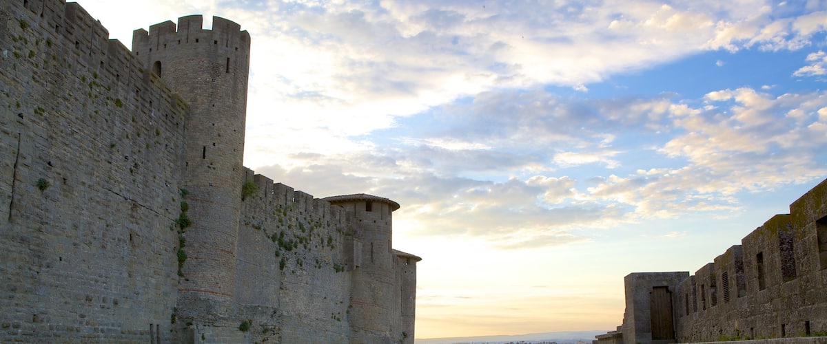 Carcassonne showing a castle and heritage architecture