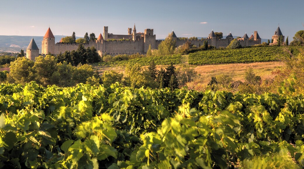 Field view on Cité of Carcassonne