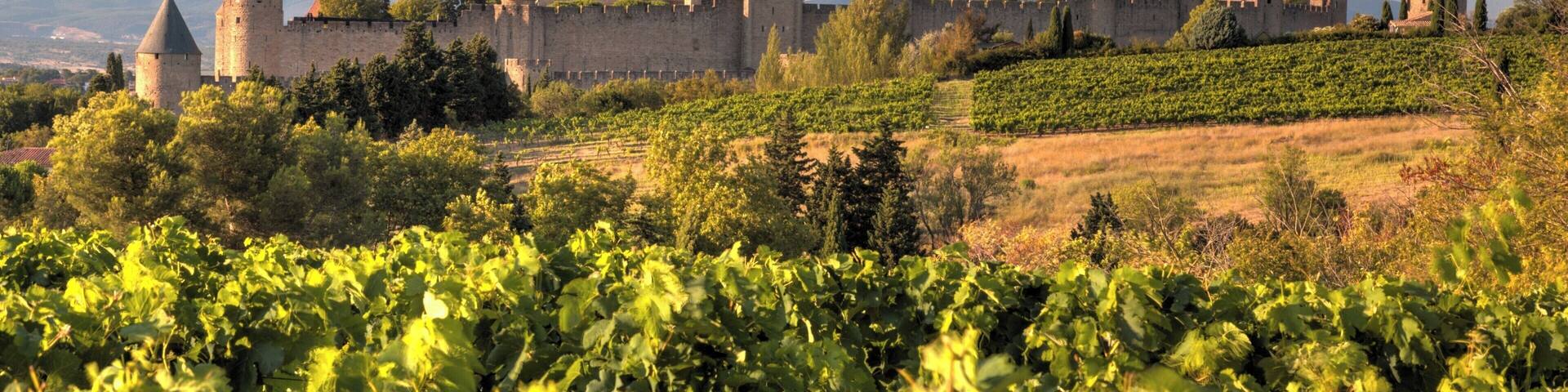 Field view on Cité of Carcassonne
