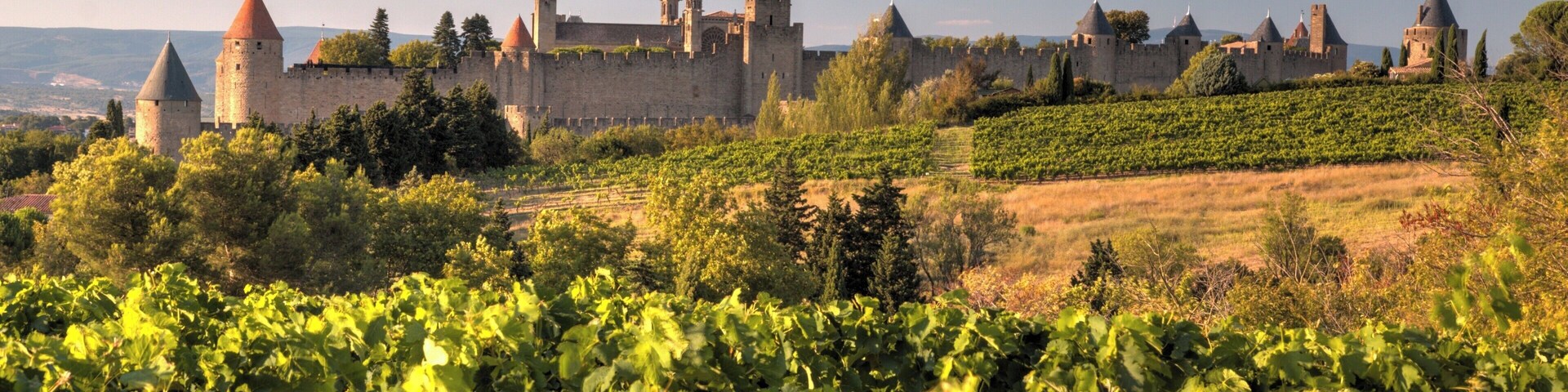 Field view on Cité of Carcassonne